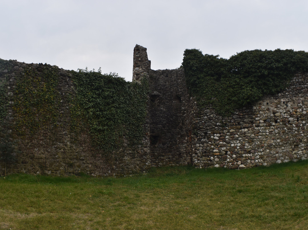 Castello di Carzago景点图片