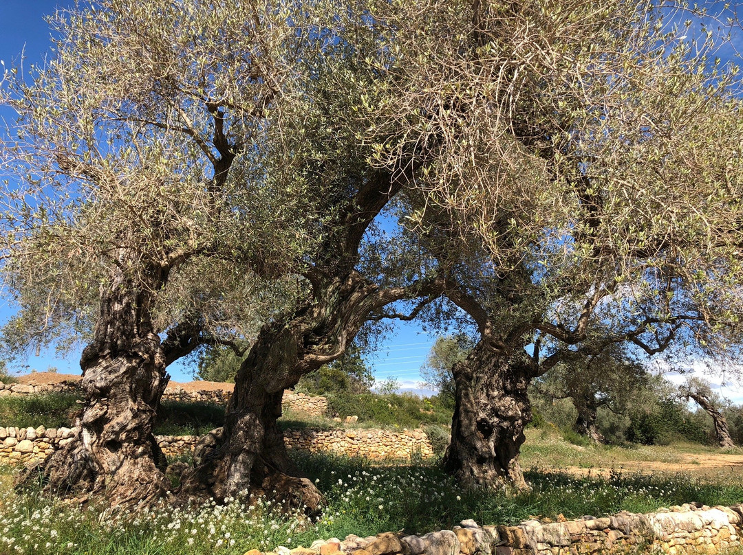 La Jana旅游攻略图片