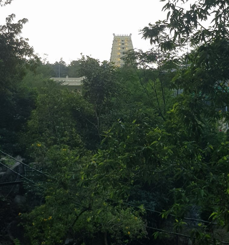 Arulmigu Balathandayuthapani Temple-乔治城必去景点
