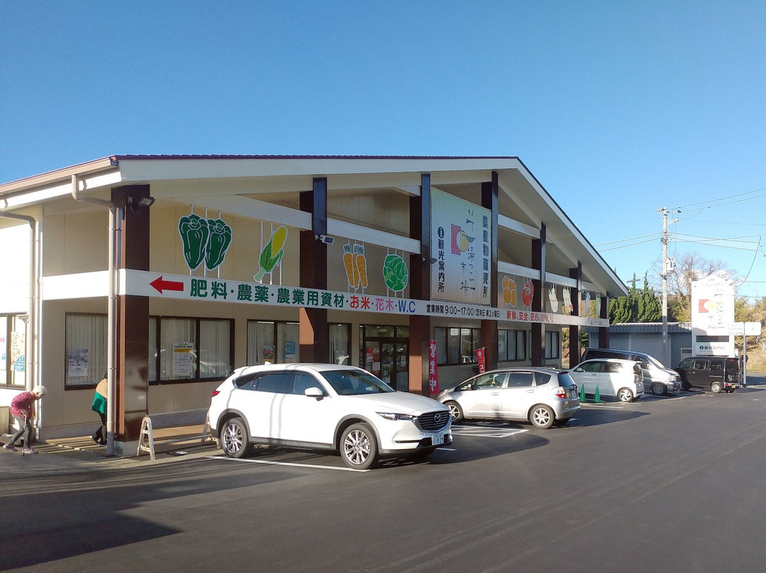 Ideyukko Market-伊东市必去景点