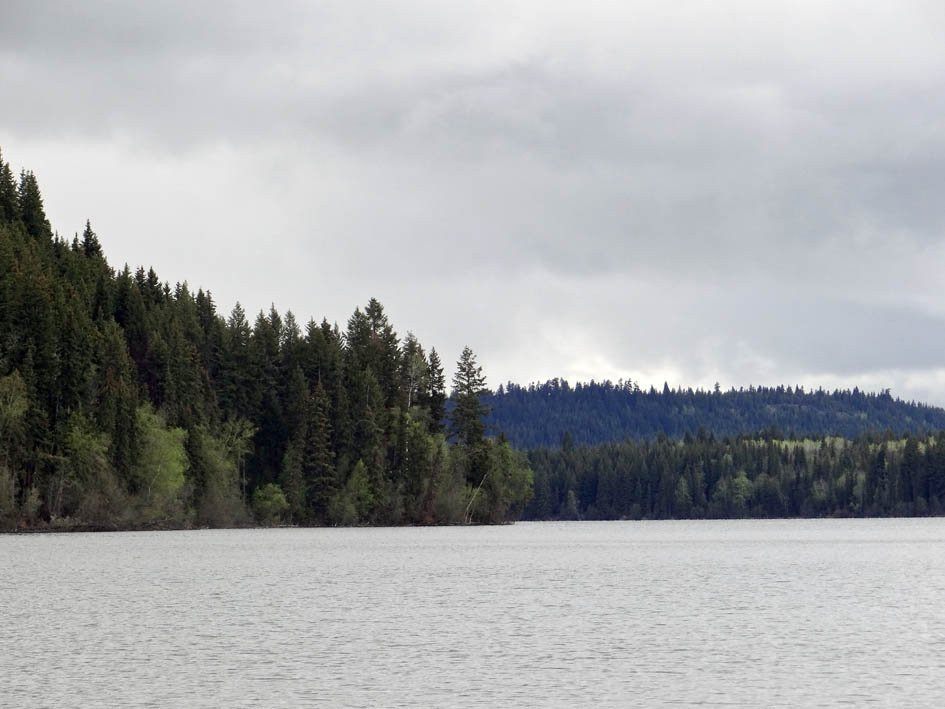 Bridge Lake Provincial Park景点图片