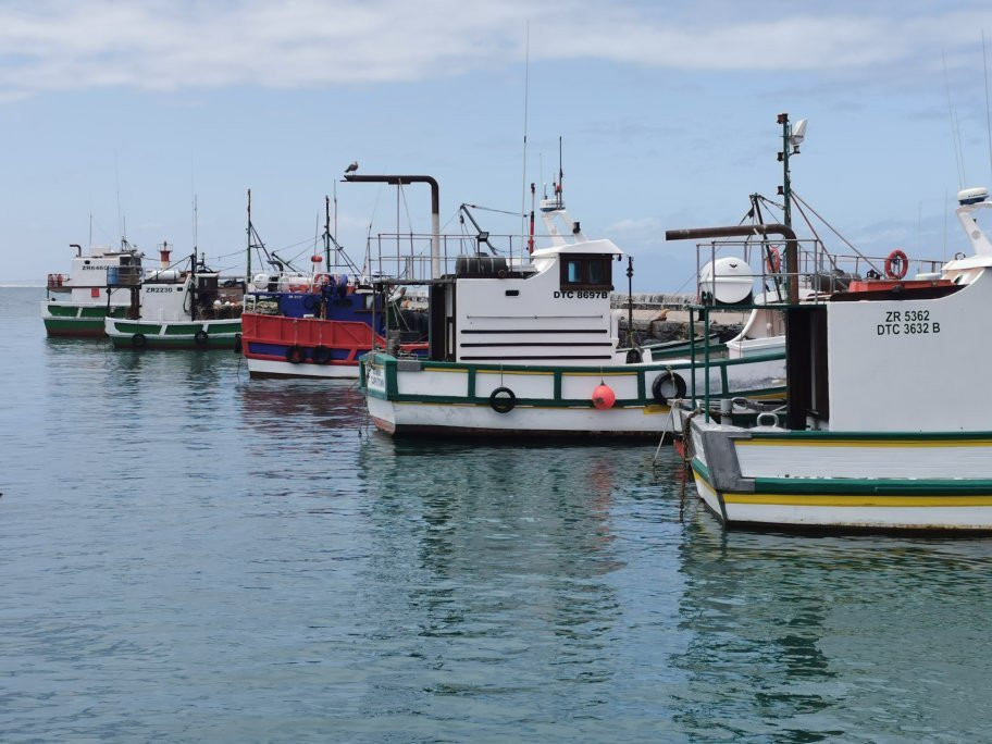 Sunny Cove Manor主图