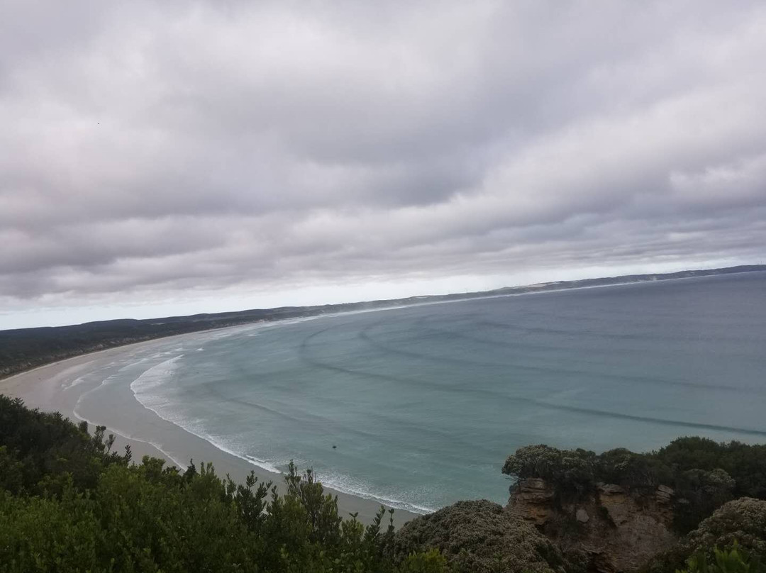 Cape Bridgewater Seal Walk-Cape Bridgewater必去景点