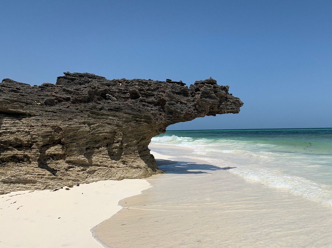 Spiaggia delle Tartarughe-瓦塔木必去景点