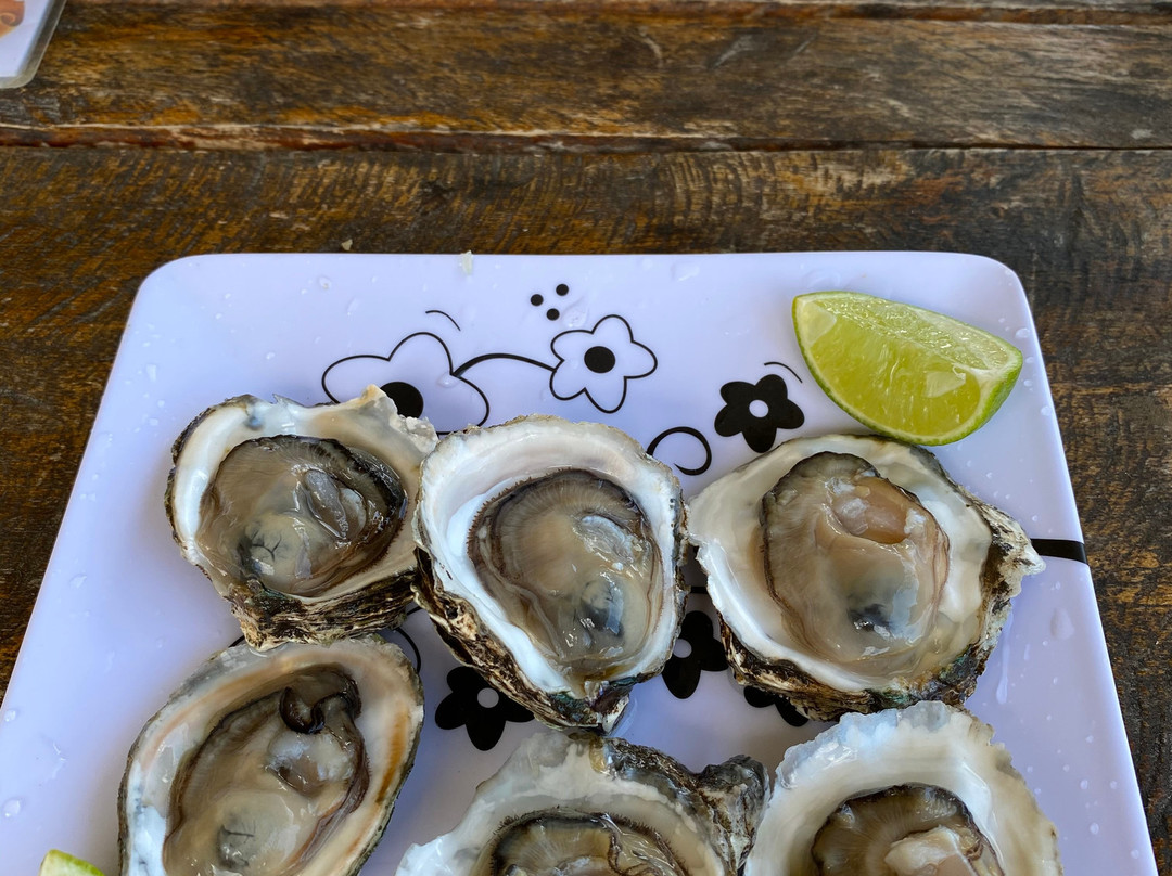 Reserva Extrativista Do Mandira-卡纳内亚必去景点