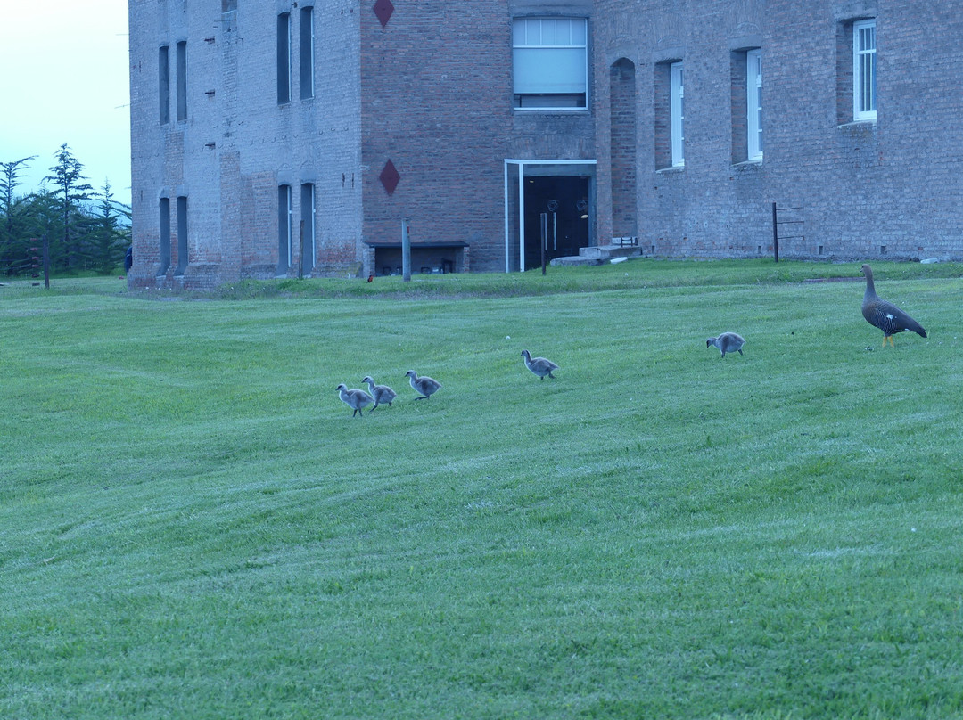 辛格勒巴塔哥尼亚酒店主图