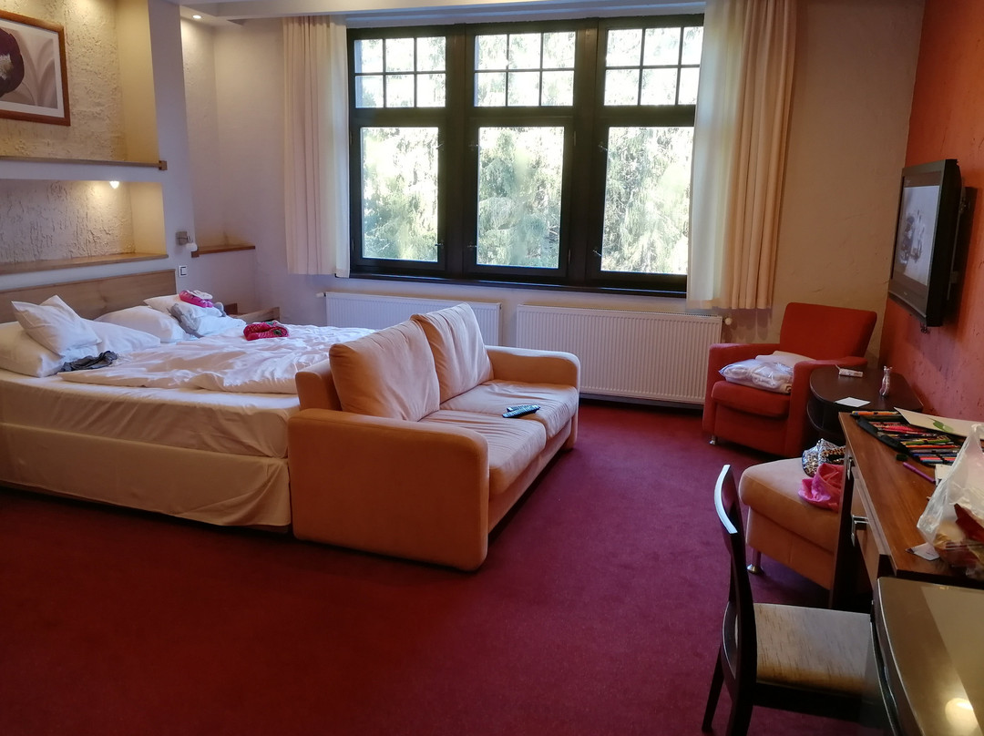 Hotel St. Moritz主图
