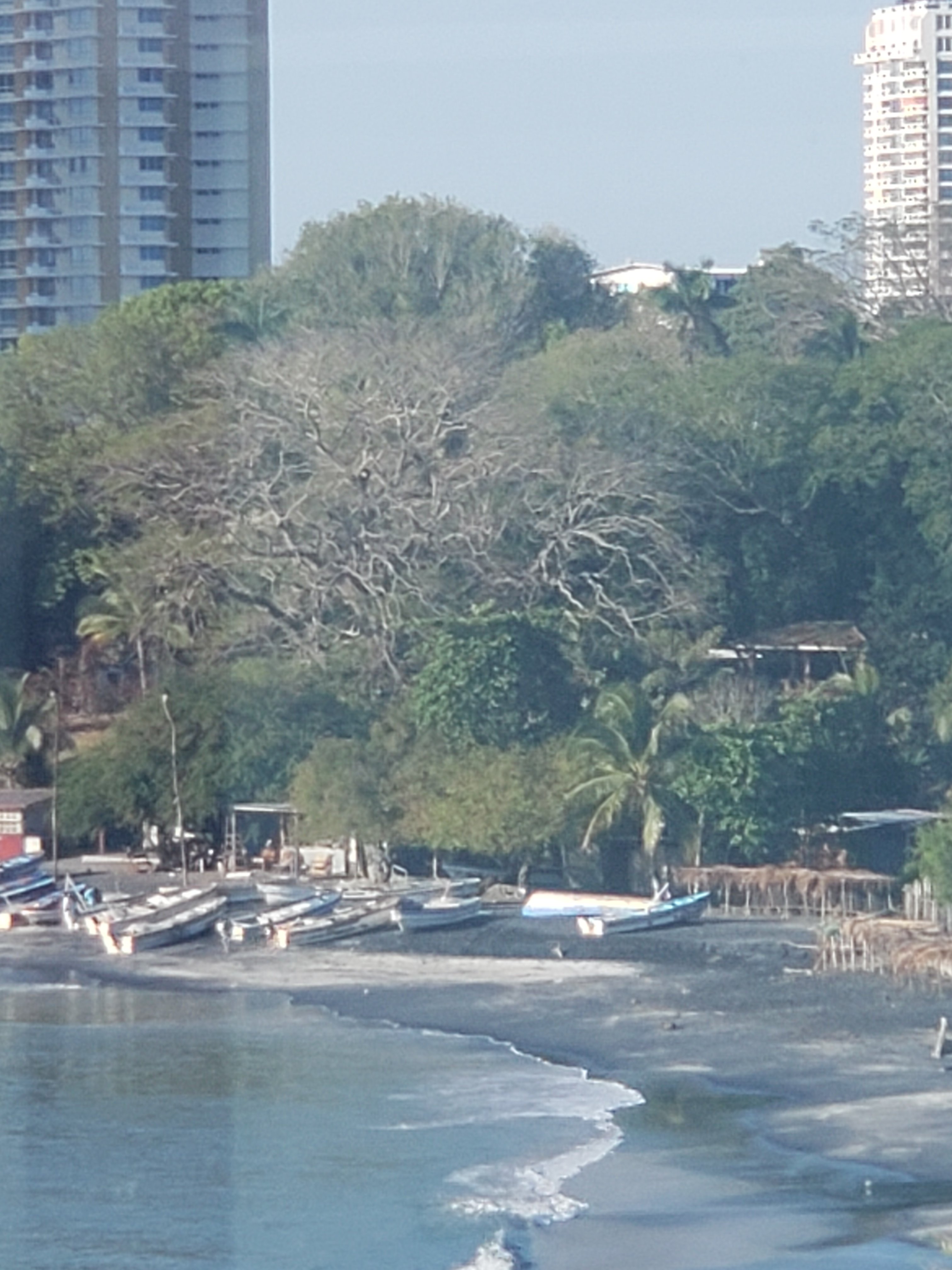 Cabanas de Playa Gorgona-官方