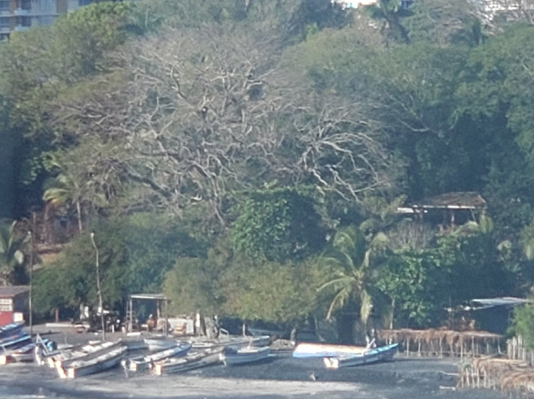 Cabanas de Playa Gorgona主图