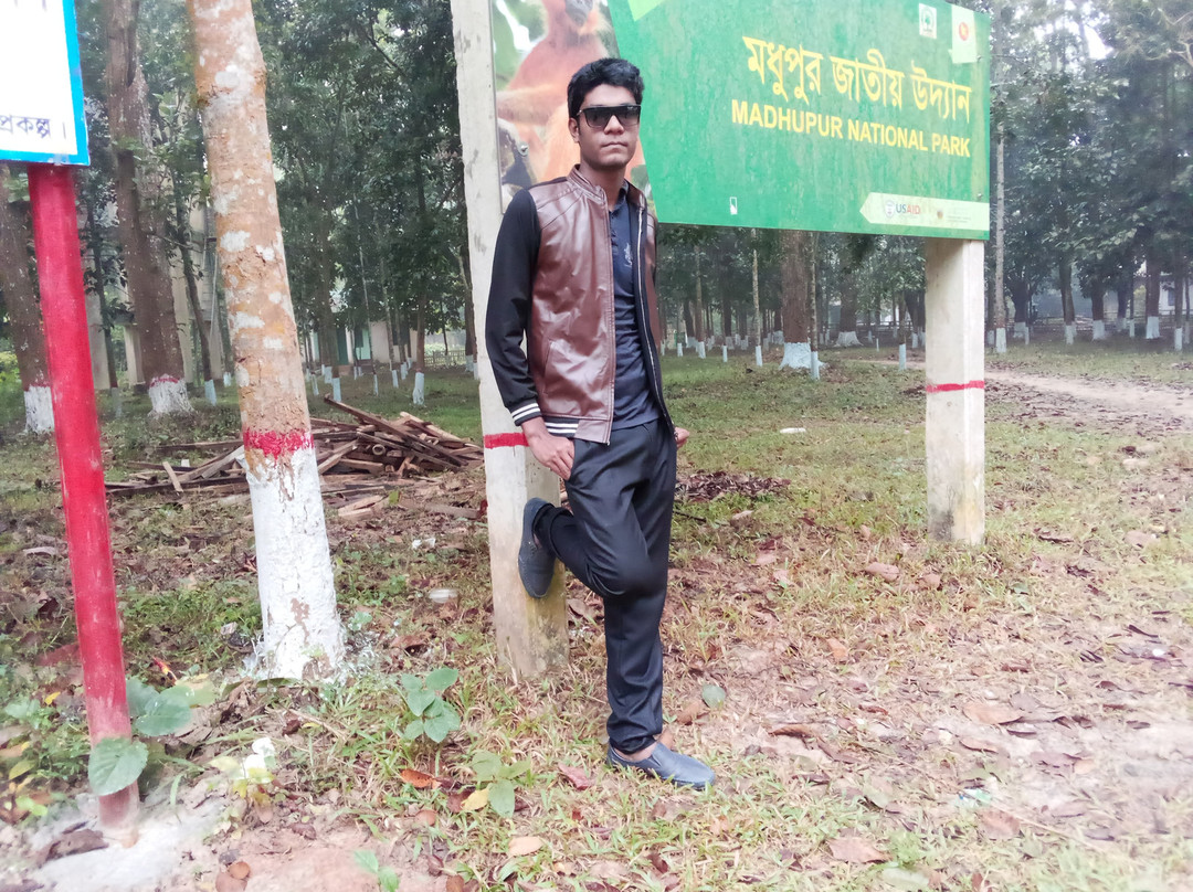 Madhupur National Park景点图片