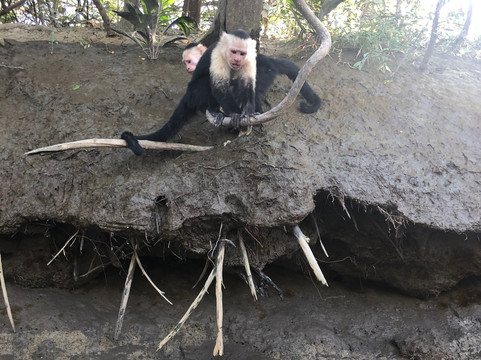 Rigo Suave CR Tours-Playa Flamingo必去景点