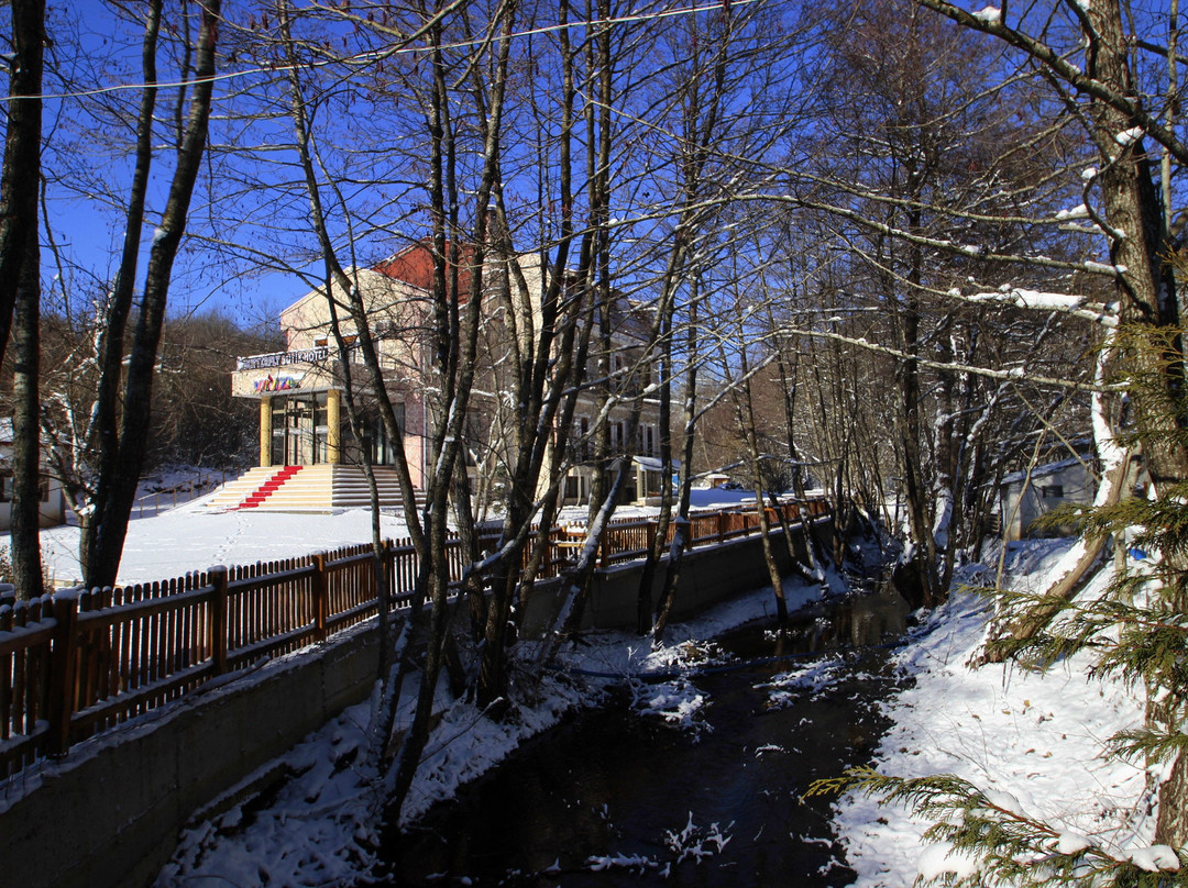 Butterfly Butik Hotel主图