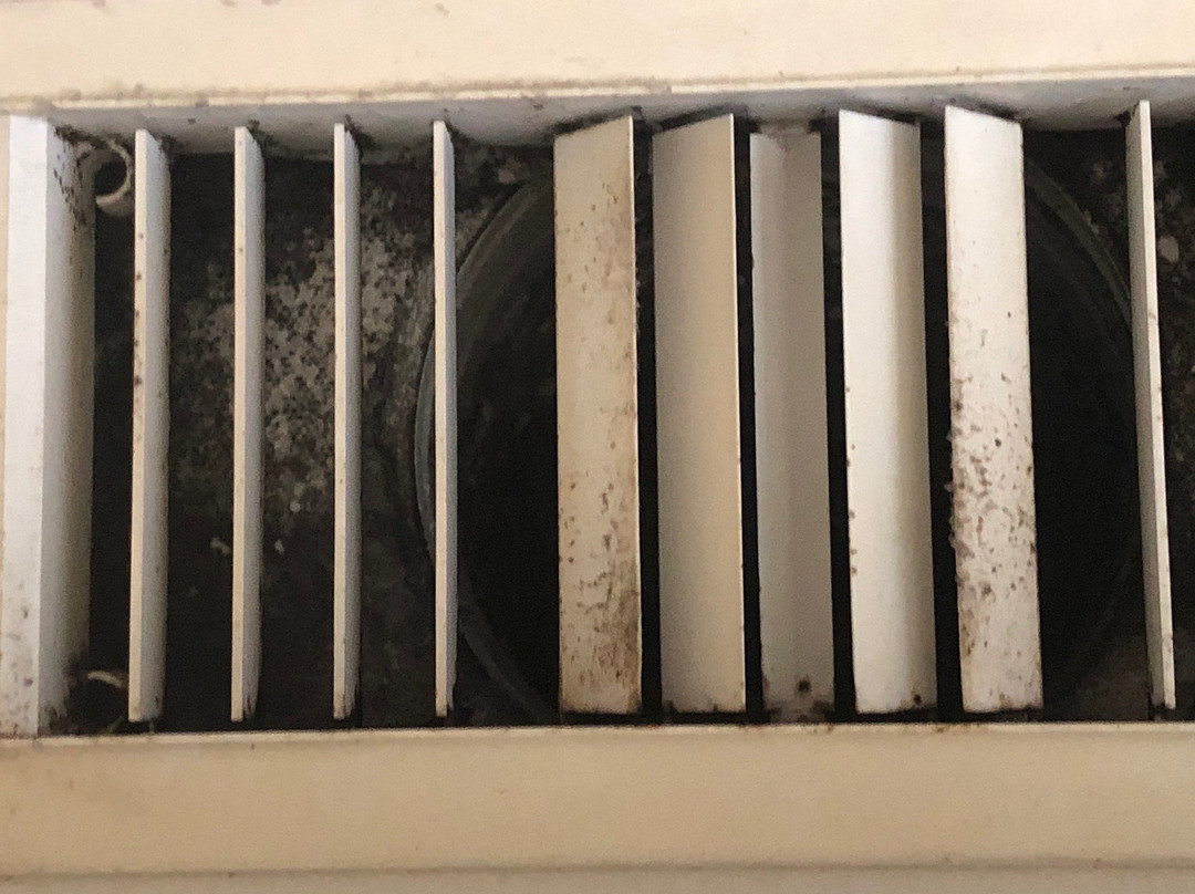 The Palms Hotel and Villas主图