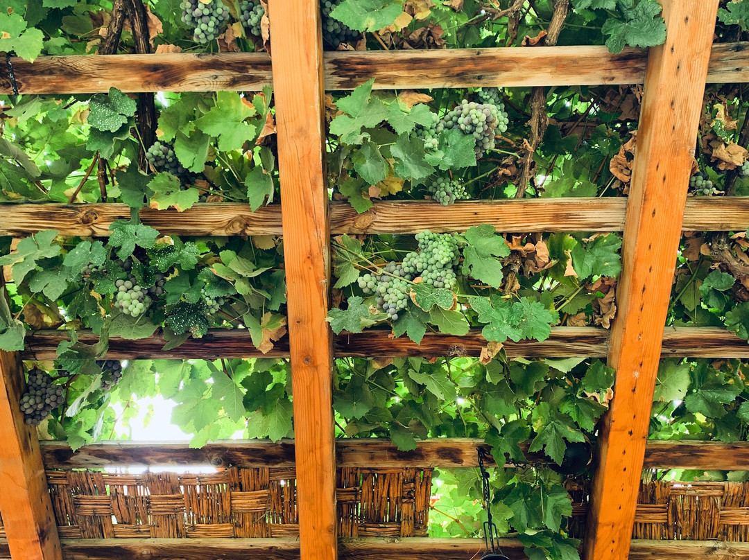 Hotel Viñas Queirolo主图