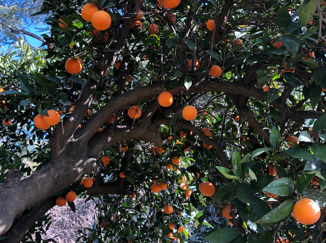 Wicky-Up Ranch Bed and Breakfast主图