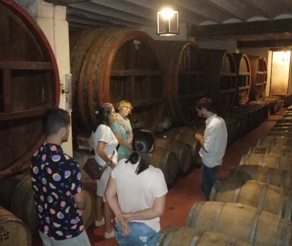 Bodega Los Cerros De San Juan-科洛尼亚·德尔萨克拉门托城必去景点