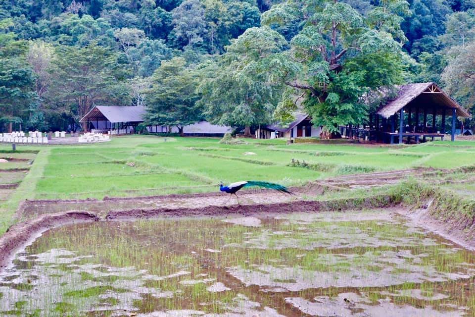 克里奥艾拉度假村-浴室