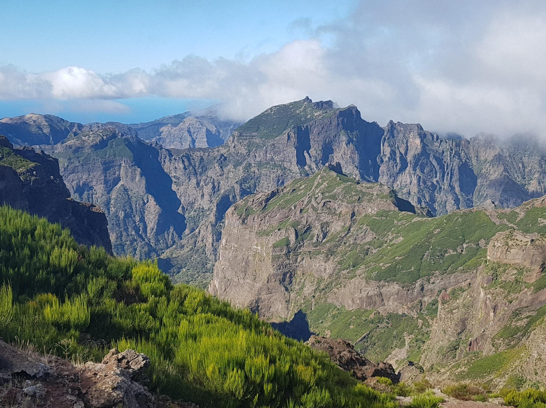 Pico Transfers-沙尔必去景点