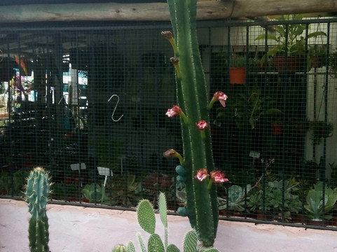 Posada Rio Tala主图