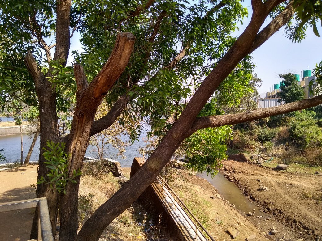 Saputara Lake景点图片