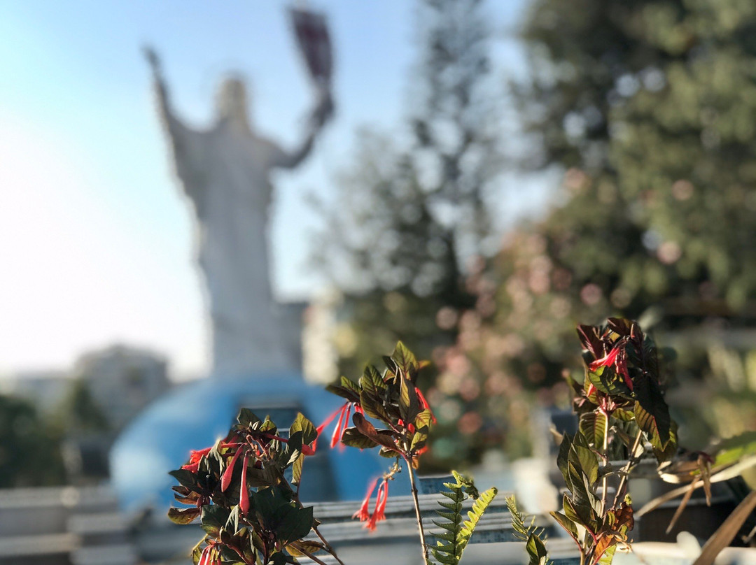 Bole Medhane Alem Cathedral景点图片