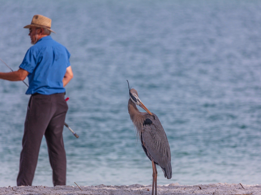 Ted Sperling Park-萨拉索塔必去景点