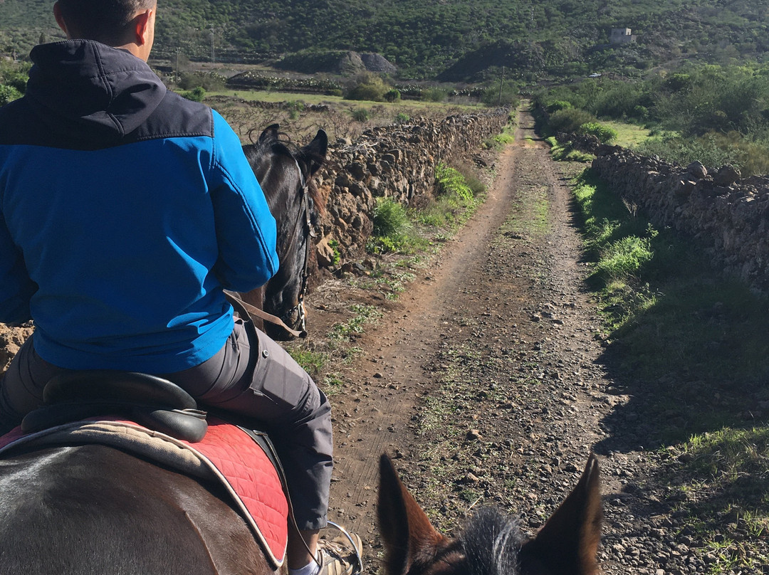 La Casona del Patio - Horseback Riding to Discover Nature-圣地亚哥德尔埃泰德必去景点