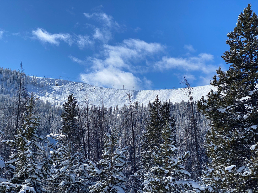 Vail Mountain Resort景点图片