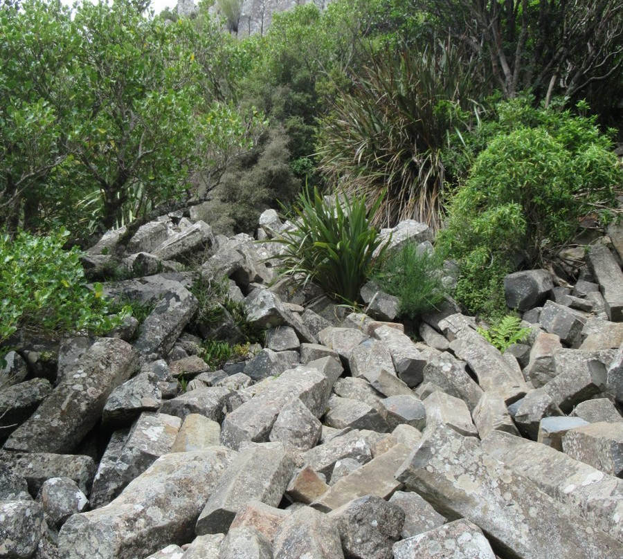 Organ Pipes Track-但尼丁必去景点