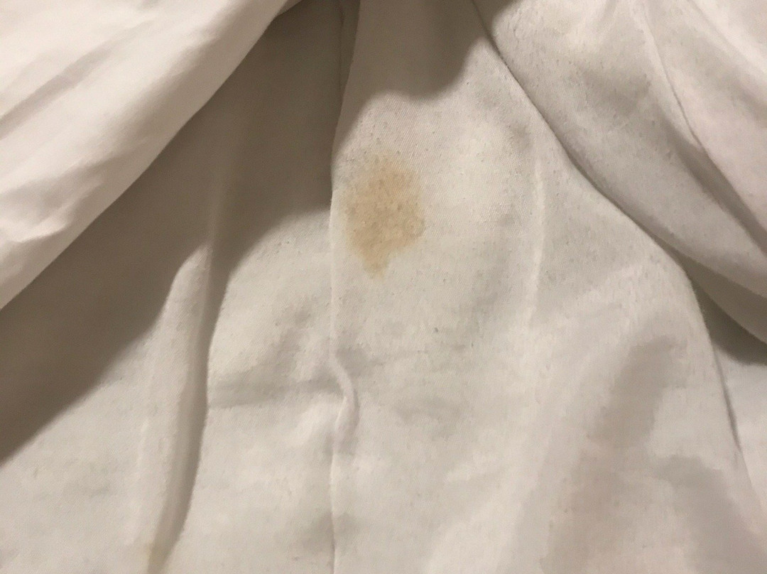 Travelodge Hayle主图