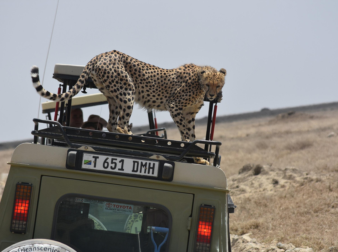 Burigi Tours and Safaris Ltd-姆万扎必去景点