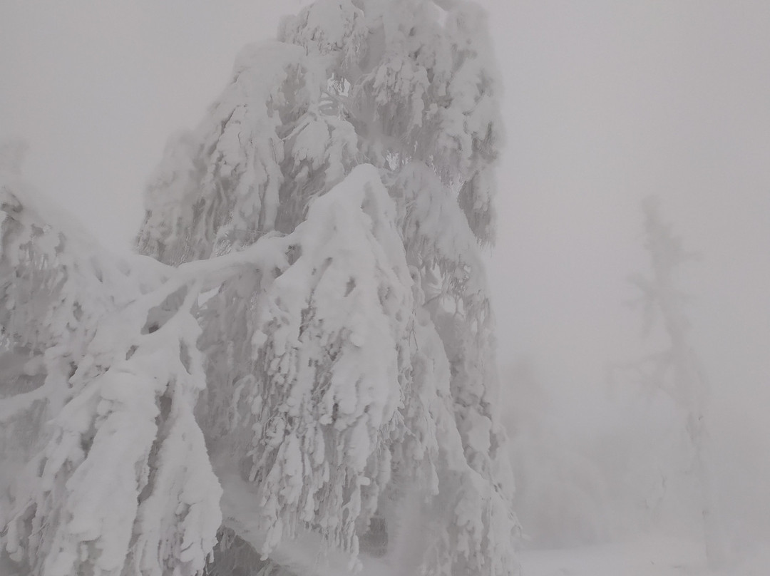 Ski Complex Adzhigardak景点图片