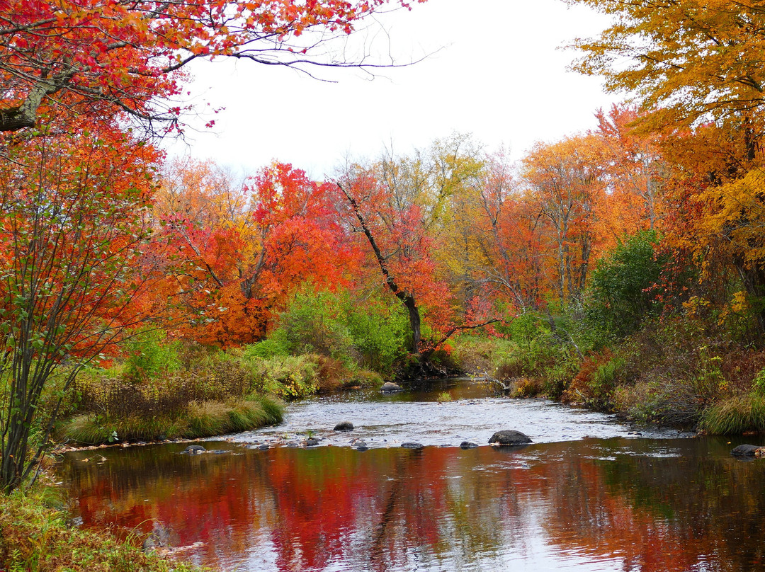 Little River Bed and Breakfast主图