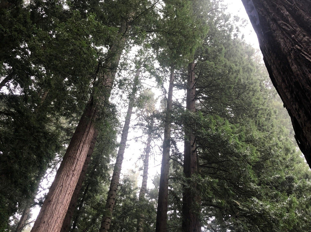 Sequoia Park Zoo景点图片