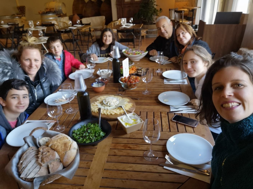 Dafna Koren Cohen - Private Tour Guide-雷霍沃特必去景点