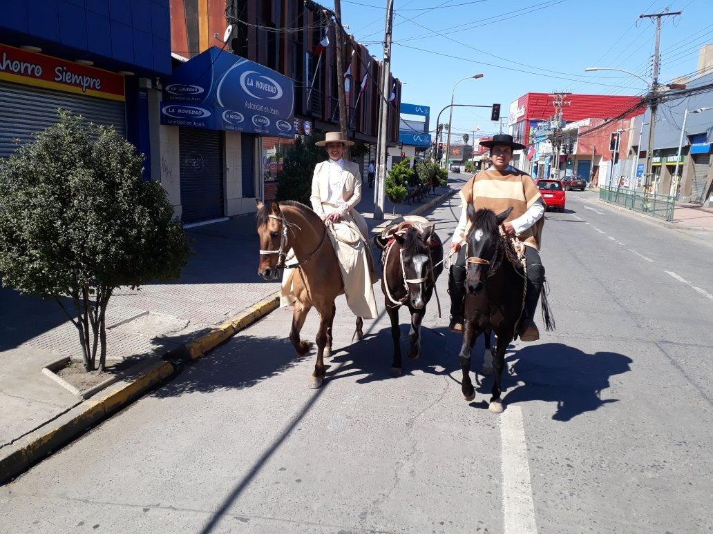 Cabalgatas Valle de Colchagua-圣克鲁斯必去景点