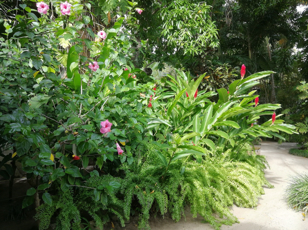 Togo Bed and Breakfast主图