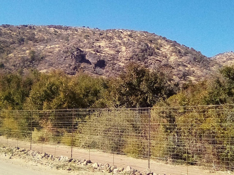 KML Shuttle Services-桑顿必去景点