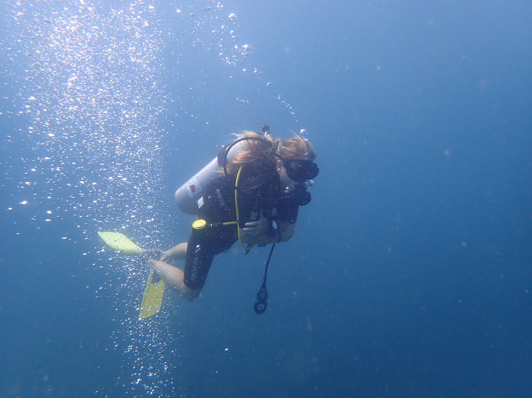 Dive Seenigama Dive Lanka-希克杜沃必去景点