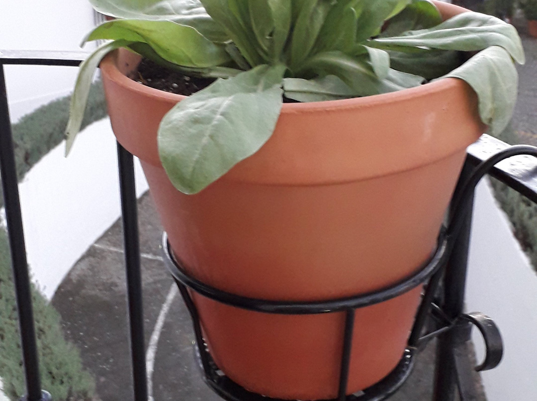 Parador De Mérida主图