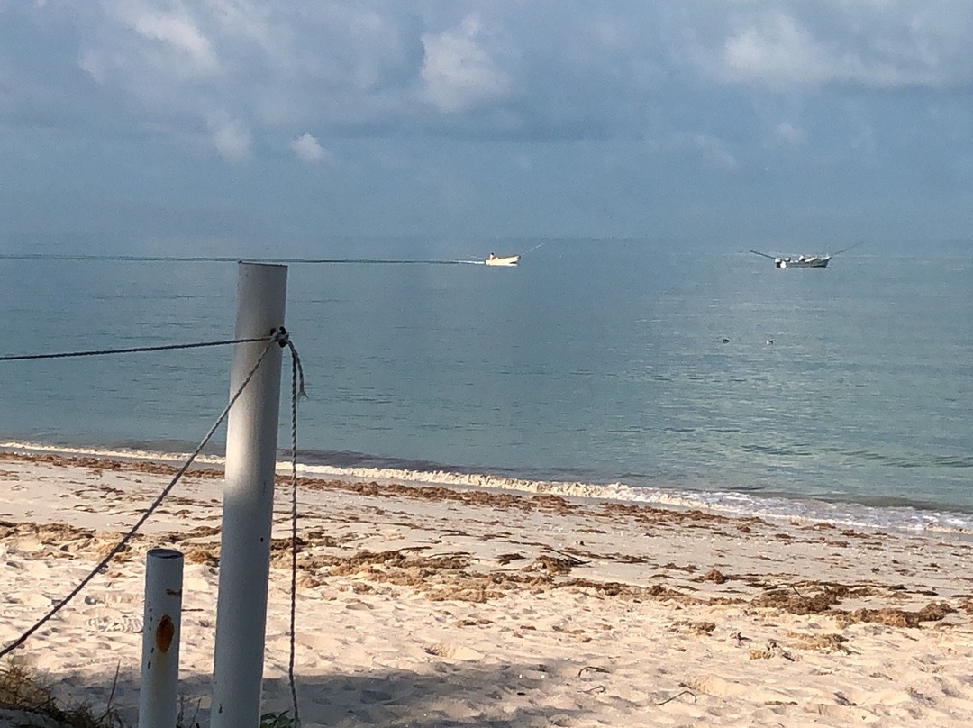 Ecohotel Flamingo Playa主图