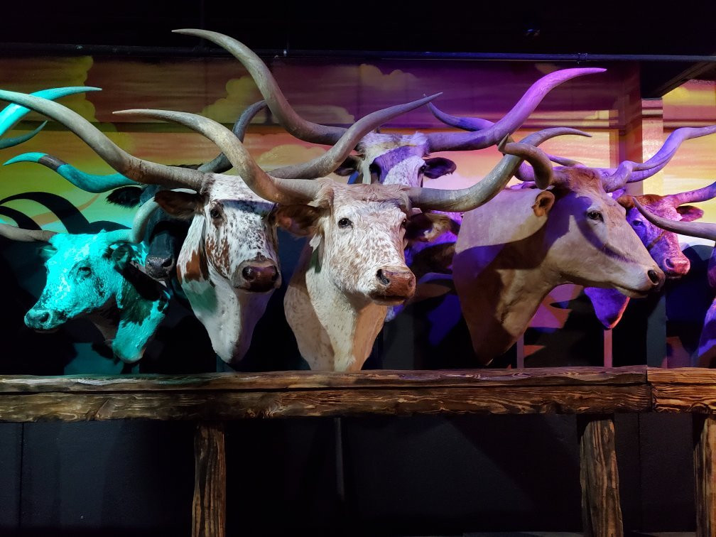 Butler Longhorn Museum-利格城必去景点
