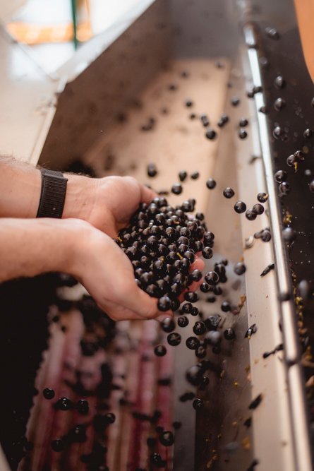 Saint-Laurent-des-Combes旅游攻略图片