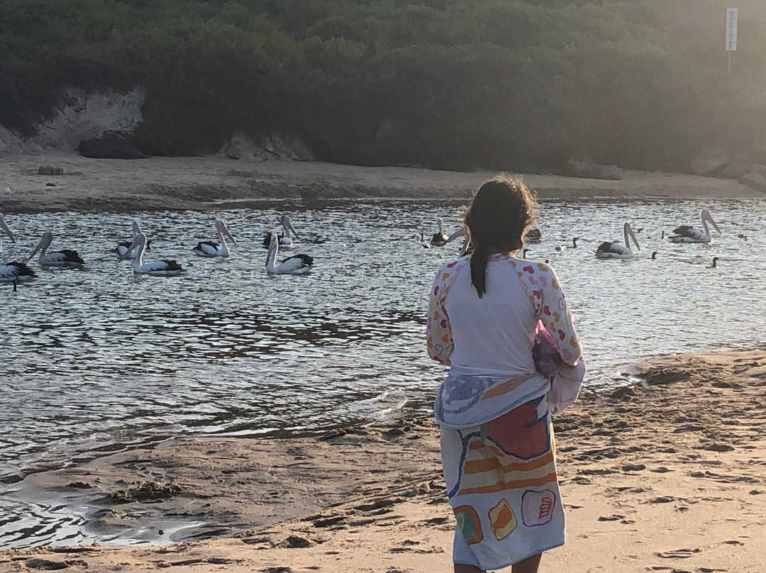 Sapphire Palms Motel主图