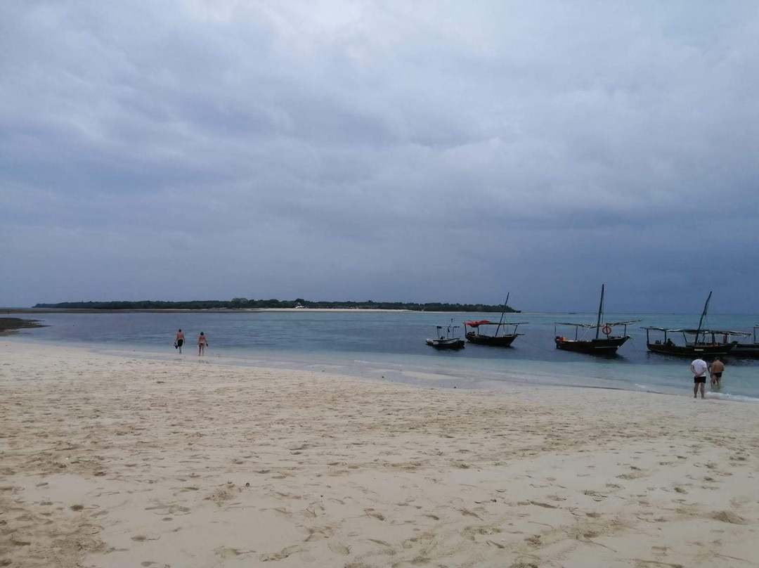 Karafuu Beach Resort And Spa主图