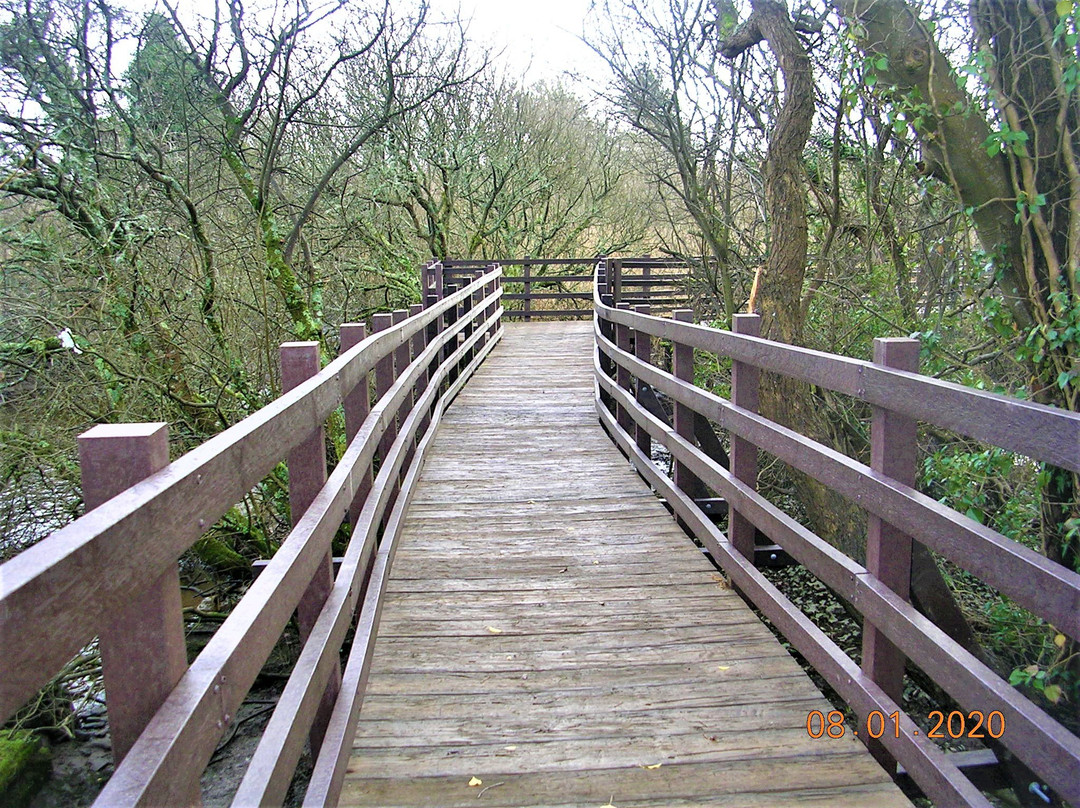 Lon Cob Bach Nature Reserve景点图片