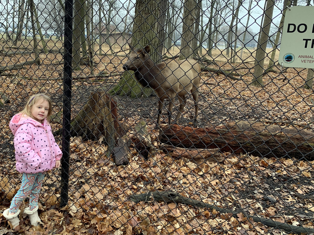 Busse Forest Elk Pasture-埃尔克格罗夫村必去景点