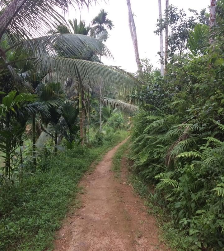 Duara Travels Neluwa-Neluwa必去景点