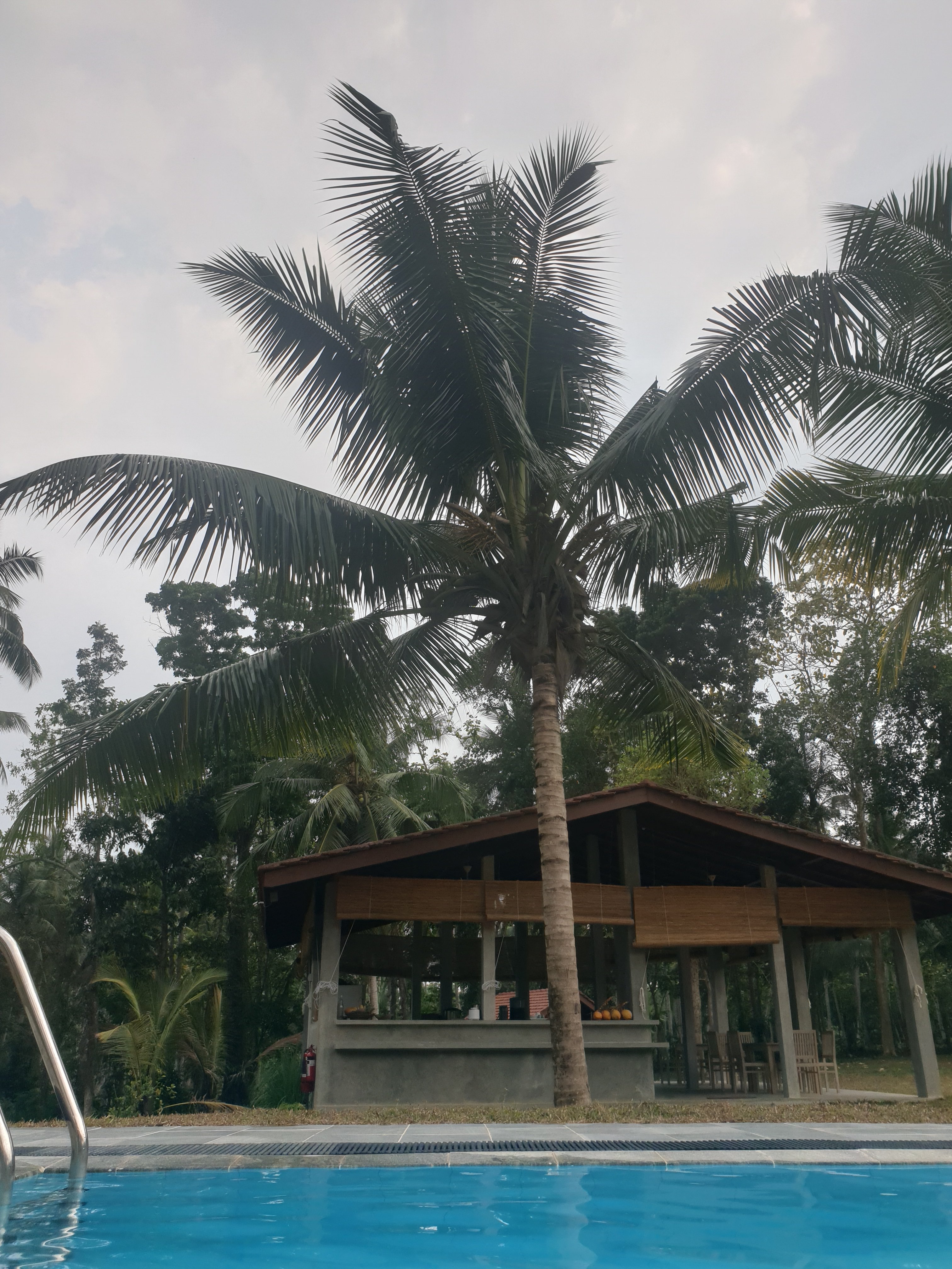Ambarella Lodge & Spice Garden-泳池
