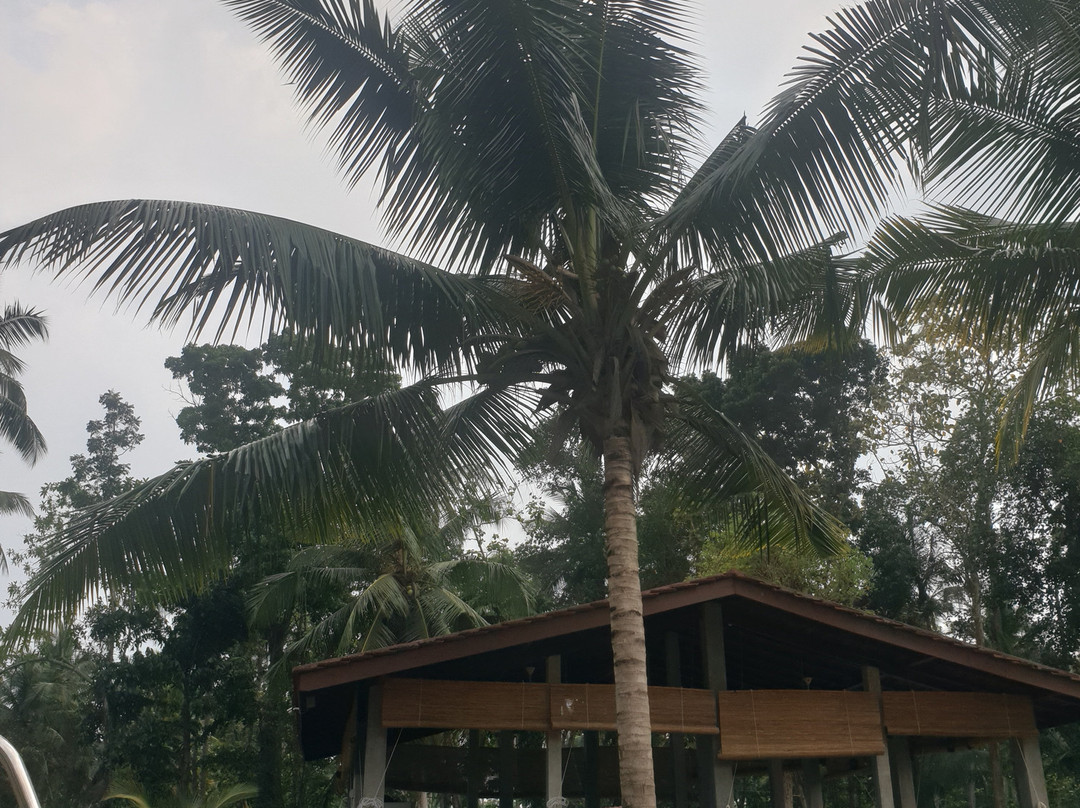 Ambarella Lodge & Spice Garden主图